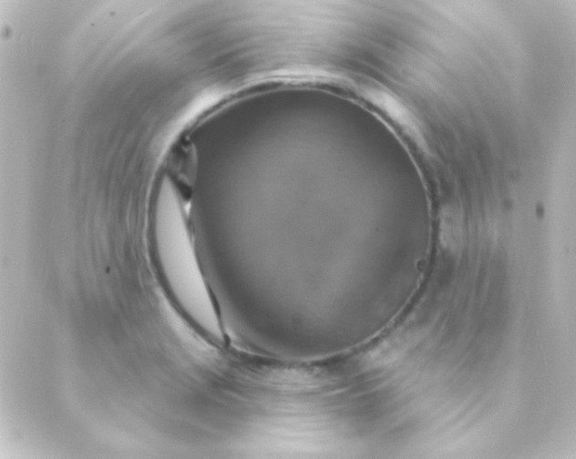 X0000088851229200706221652