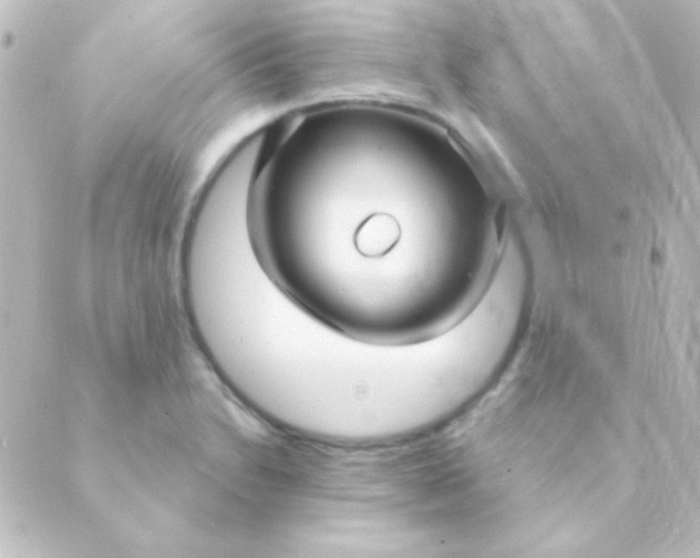 X0000088851230200706221652