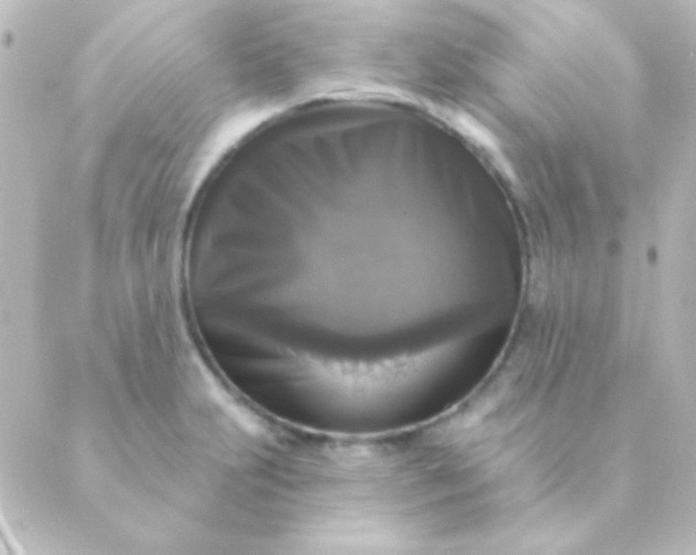 X0000088851231200706221652