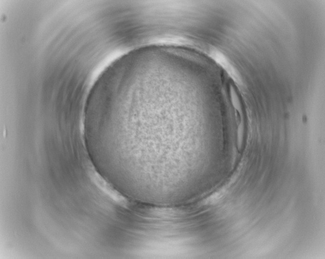 X0000088851232200706221652