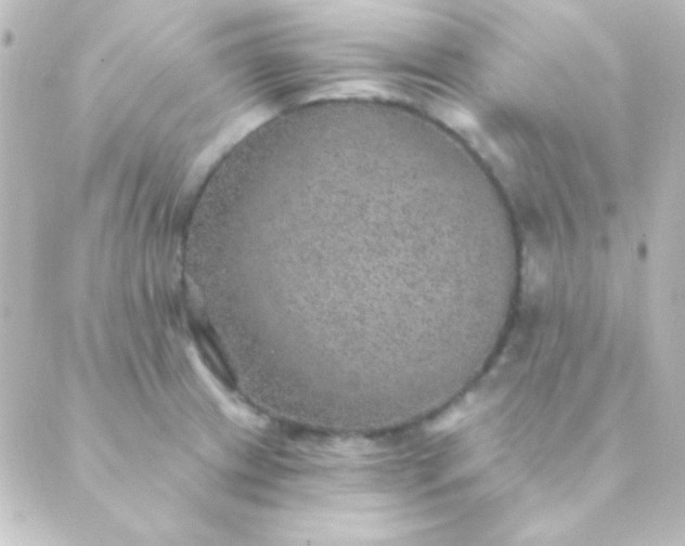 X0000088851233200706221652