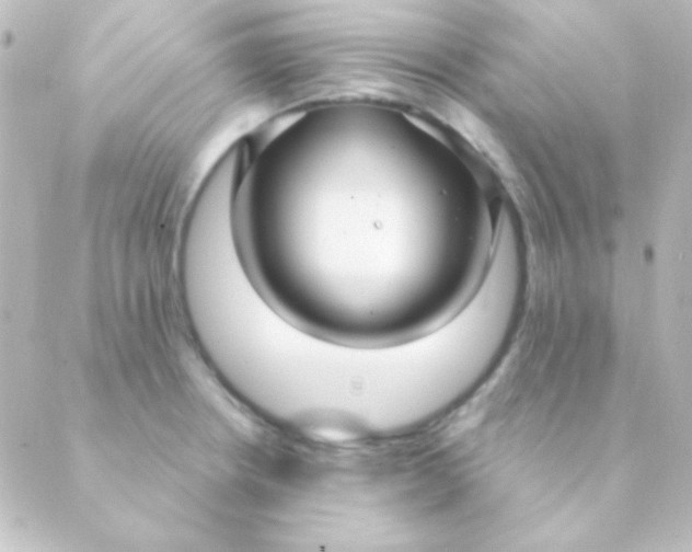 X0000088851234200706221652