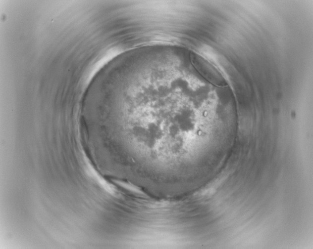 X0000088851235200706221652