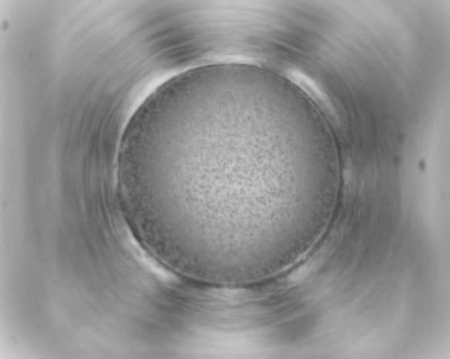 X0000088851236200706221652