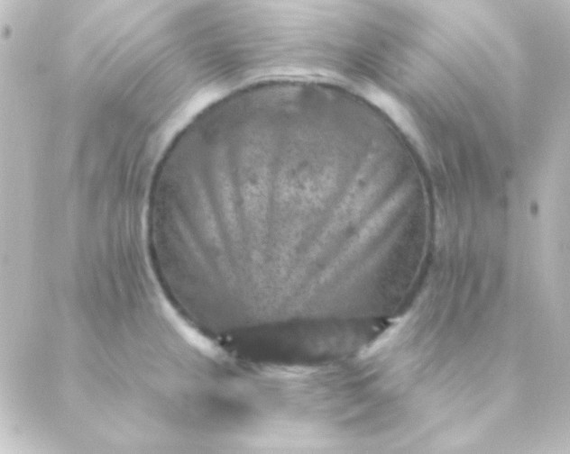 X0000088851237200706221652