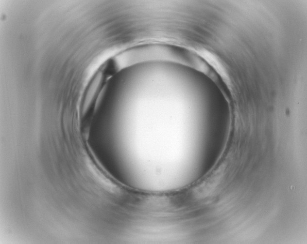 X0000088851238200706221652