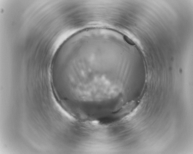 X0000088851239200706221652