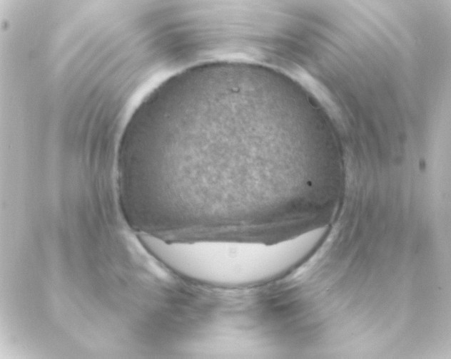 X0000088851240200706221652