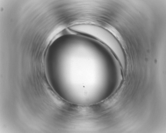 X0000088851242200706221652