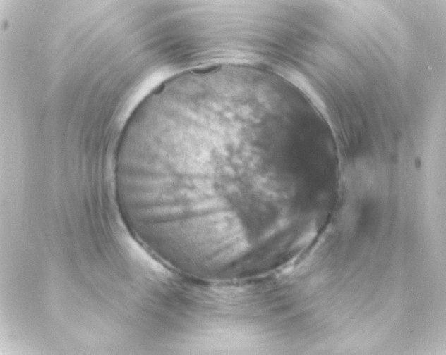 X0000088851243200706221652