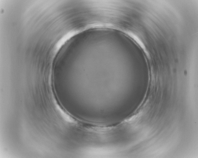 X0000088851245200706221652