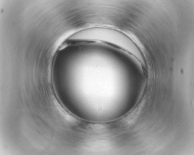 X0000088851246200706221652