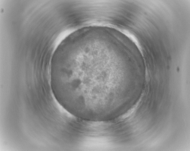 X0000088851247200706221652