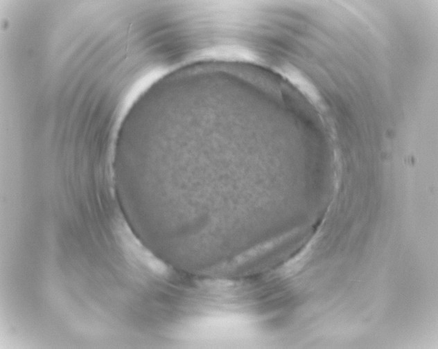 X0000088851248200706221652