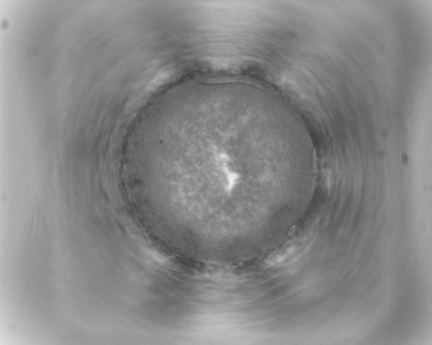 X0000088851249200706221651