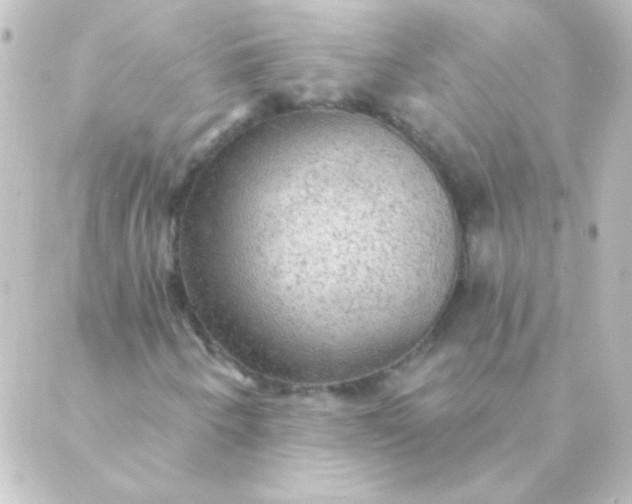 X0000088851250200706221651