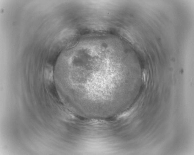 X0000088851251200706221651