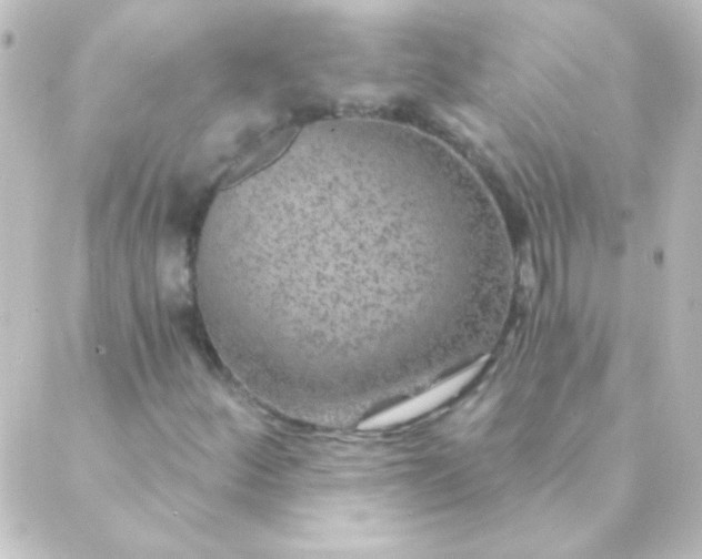 X0000088851252200706221651