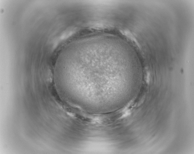 X0000088851253200706221651