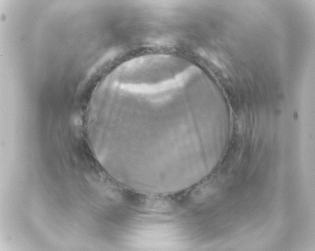 X0000088851254200706221651