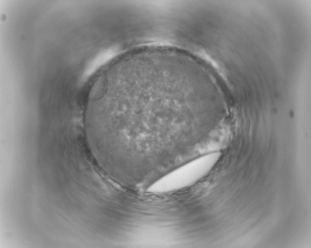 X0000088851255200706221651