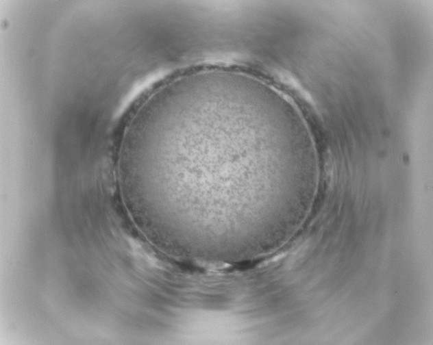 X0000088851256200706221651