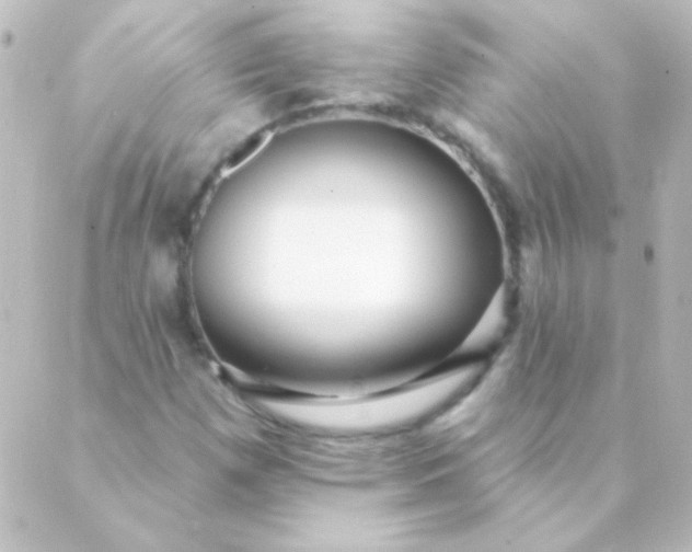 X0000088851257200706221651