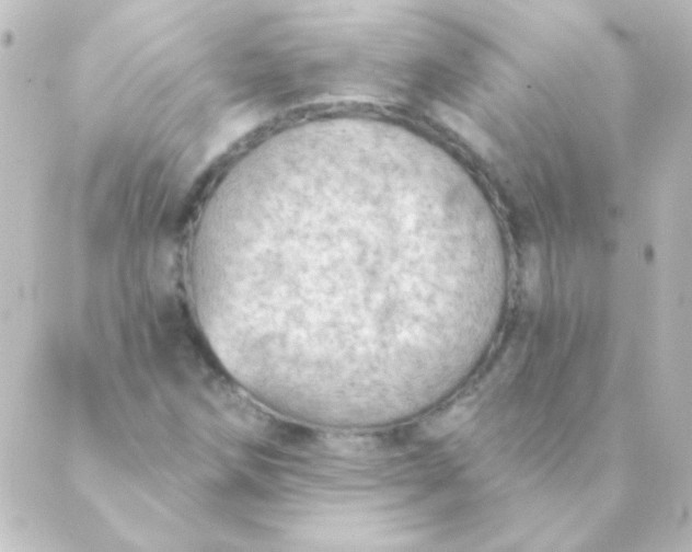 X0000088851258200706221651