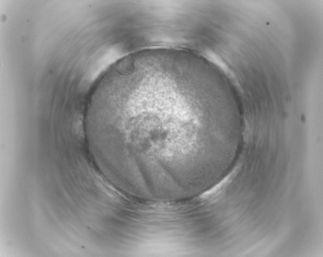 X0000088851259200706221651