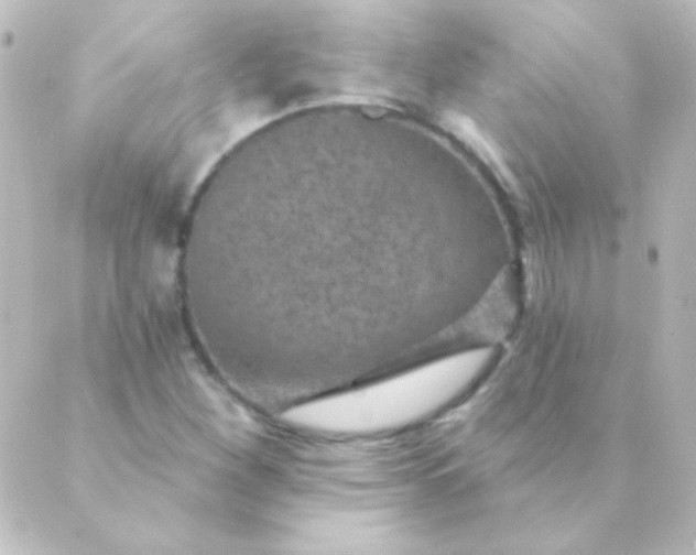 X0000088851260200706221651