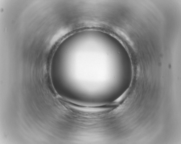 X0000088851261200706221651