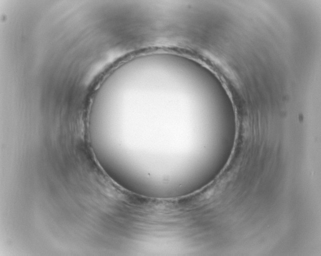 X0000088851262200706221651