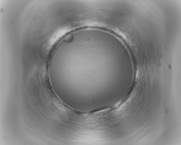 X0000088851263200706221651