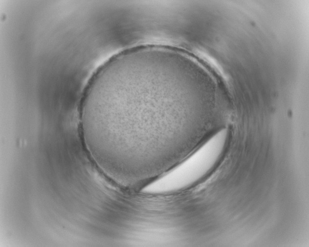 X0000088851264200706221651