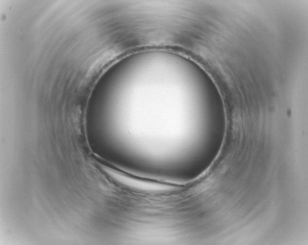 X0000088851265200706221651