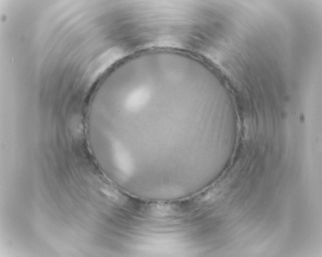 X0000088851266200706221651