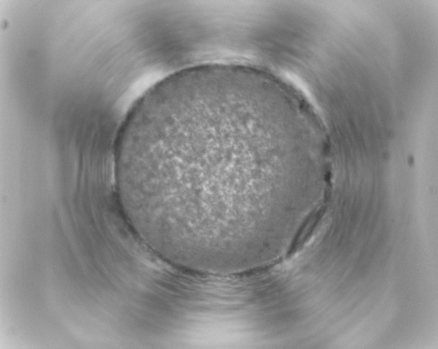 X0000088851267200706221651