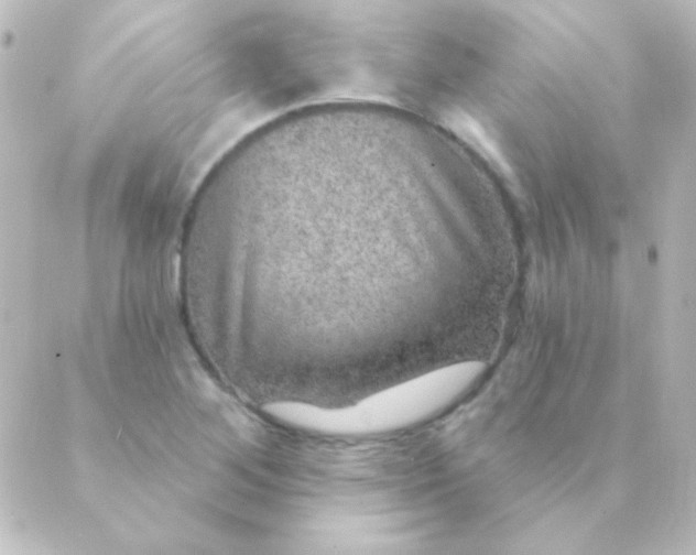 X0000088851268200706221651