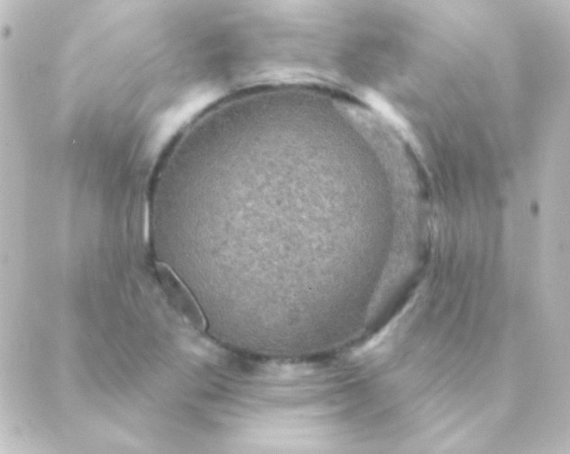 X0000088851269200706221651