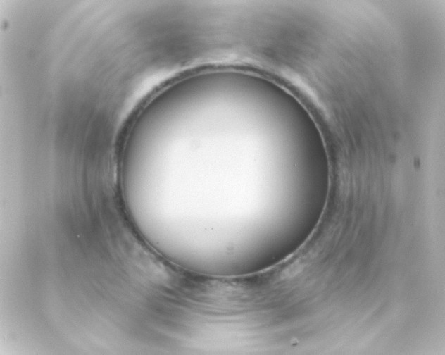 X0000088851270200706221651