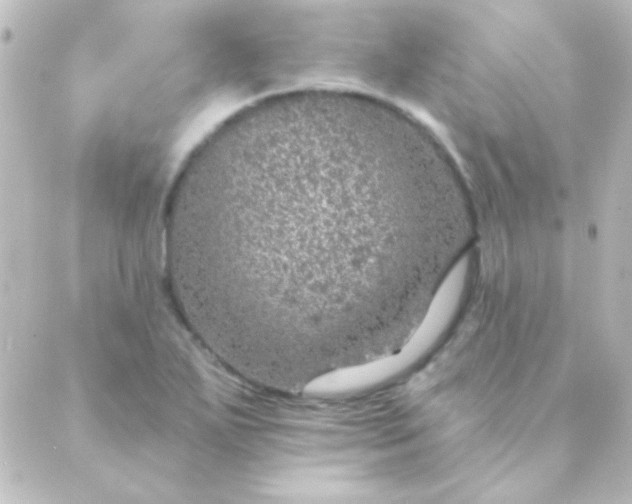 X0000088851271200706221651