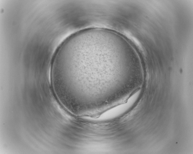 X0000088851272200706221651