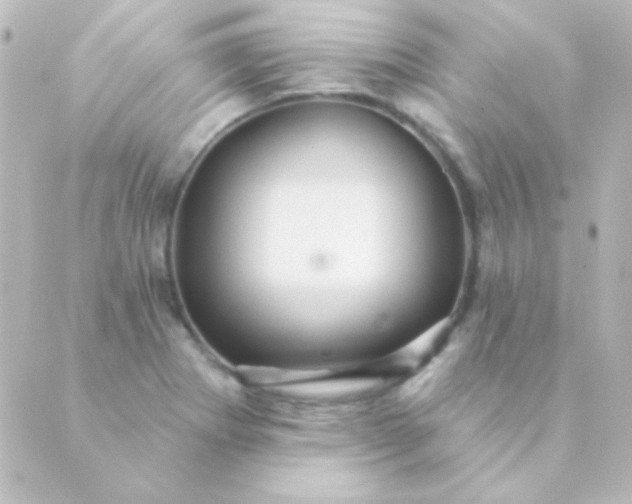 X0000088851273200706221651