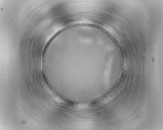 X0000088851274200706221651