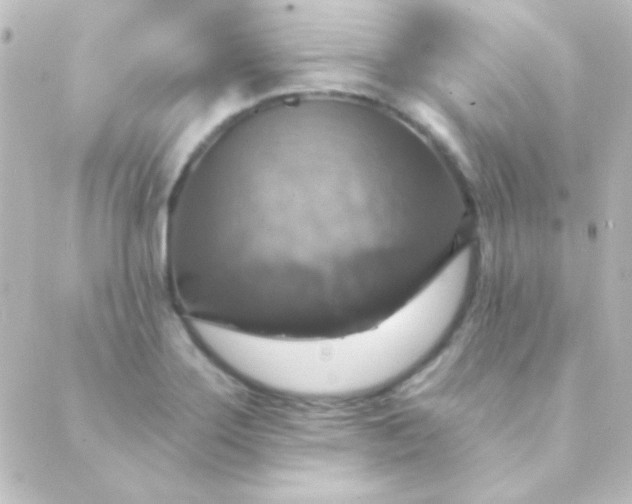 X0000088851275200706221651