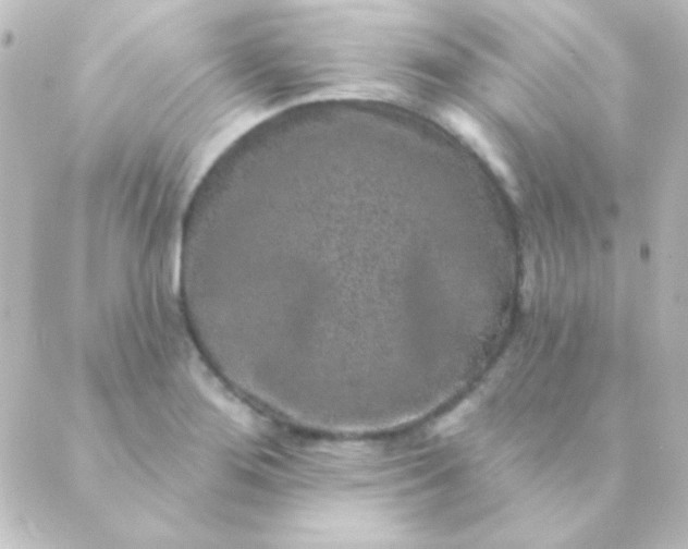 X0000088851276200706221651