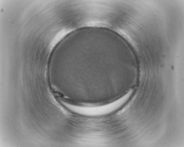 X0000088851277200706221651