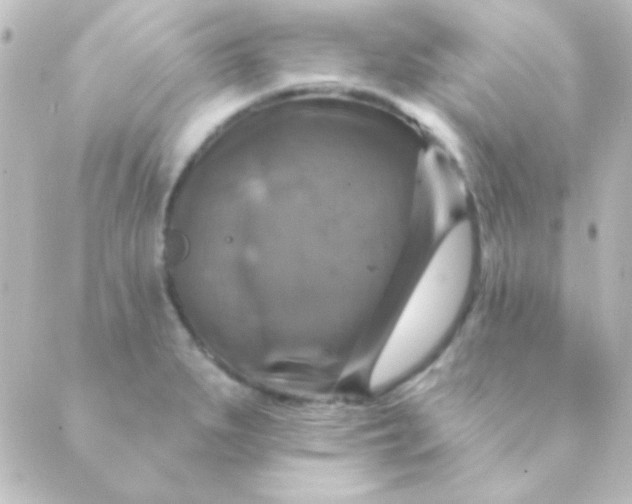 X0000088851279200706221651