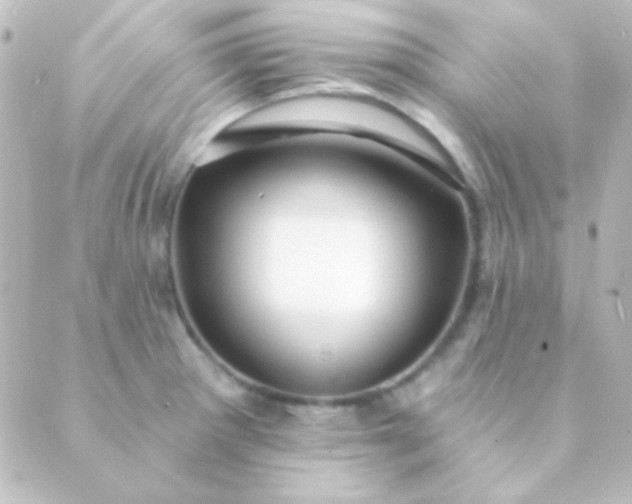 X0000088851281200706221651