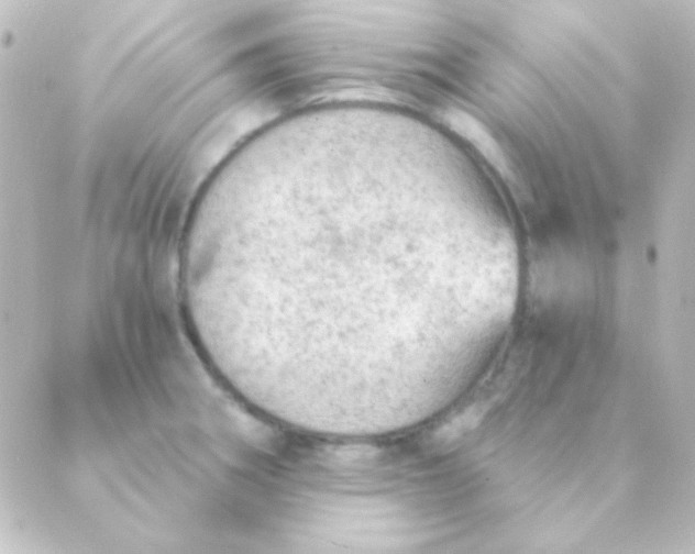 X0000088851282200706221651